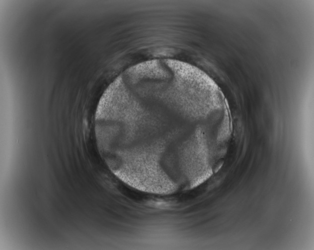 X0000083570655200703091638