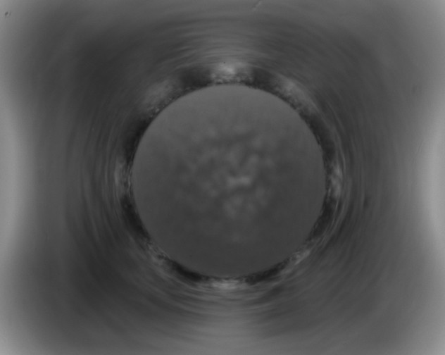 X0000083570659200703091638