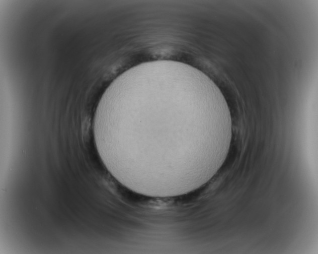 X0000083570660200703091638