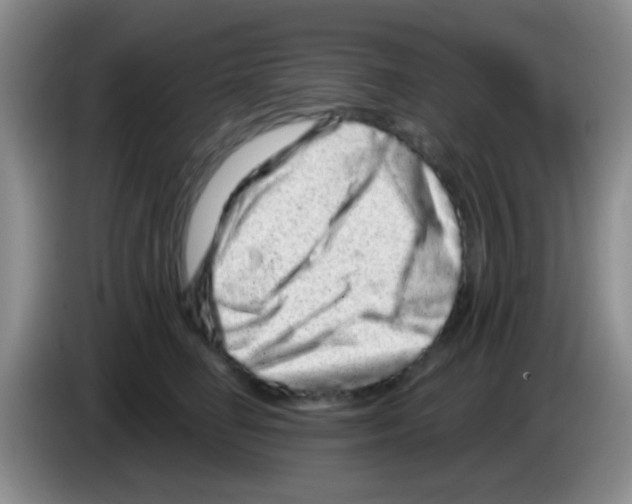 X0000083570662200703091639