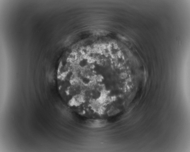 X0000083570663200703091639