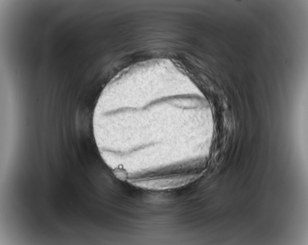 X0000083570664200703091639