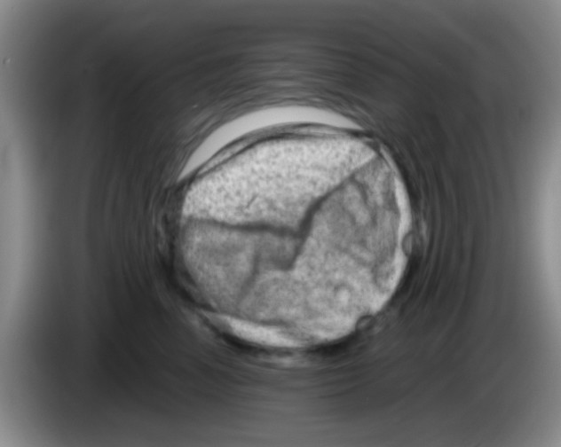X0000083570666200703091639