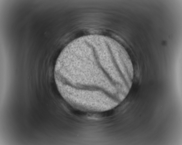 X0000083570667200703091639