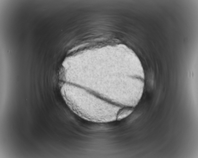 X0000083570668200703091639