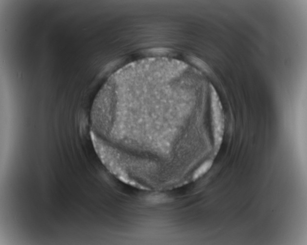 X0000083570669200703091639