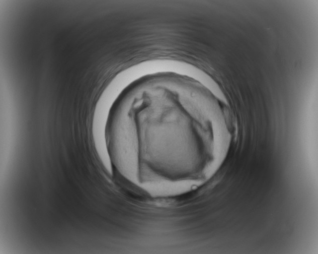X0000083570670200703091639