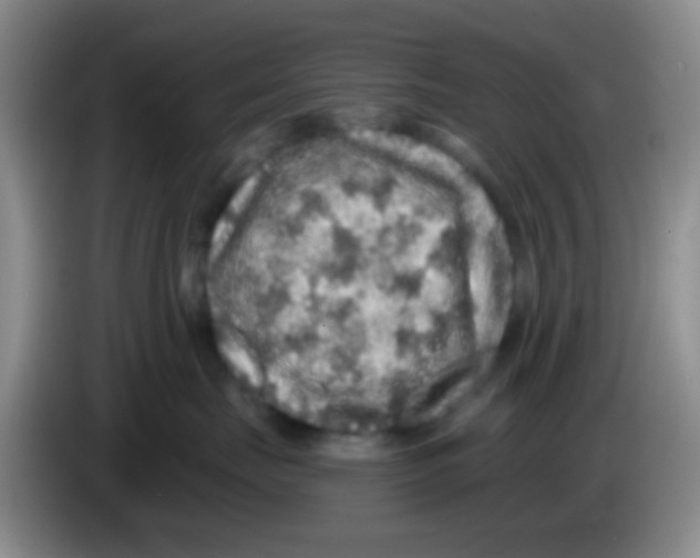 X0000083570671200703091639