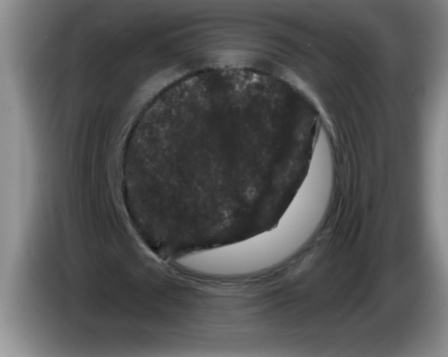 X0000083570673200703091638