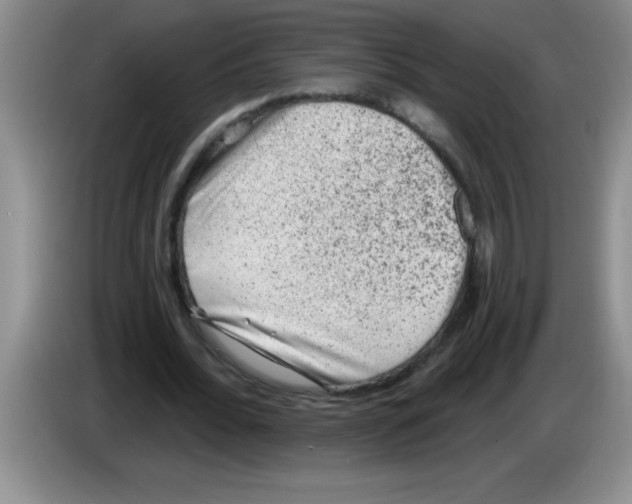 X0000083570676200703091638