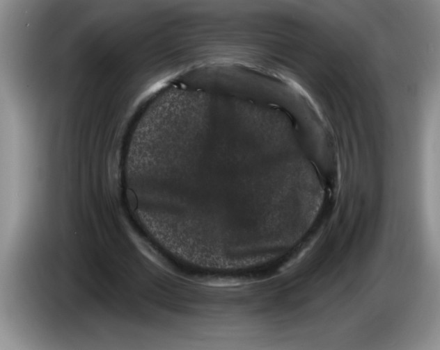 X0000083570677200703091638