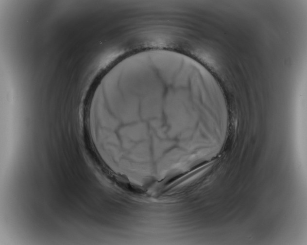 X0000083570678200703091638