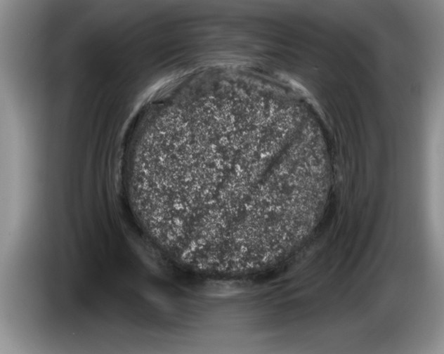 X0000083570679200703091638