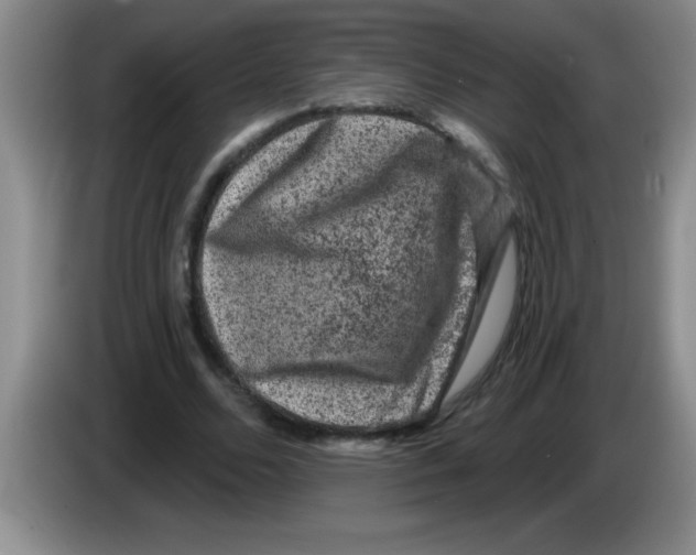 X0000083570680200703091638