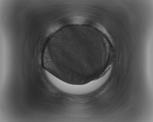 X0000083570681200703091638