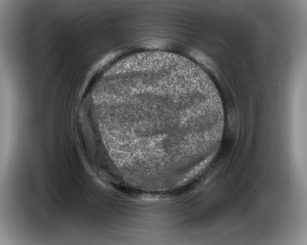 X0000083570682200703091638