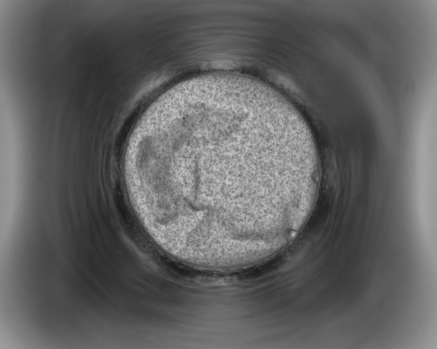 X0000083570683200703091638