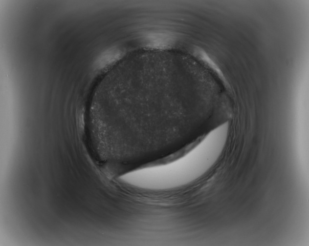 X0000083570685200703091638