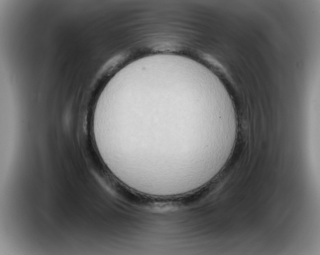 X0000083570686200703091638