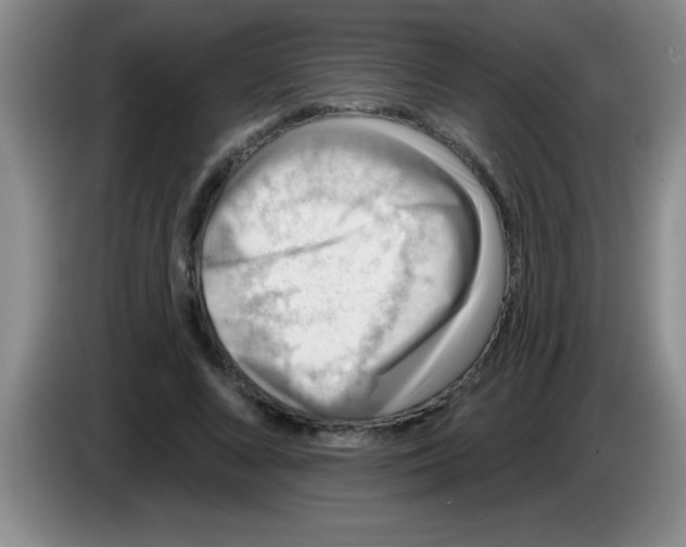 X0000083570688200703091638