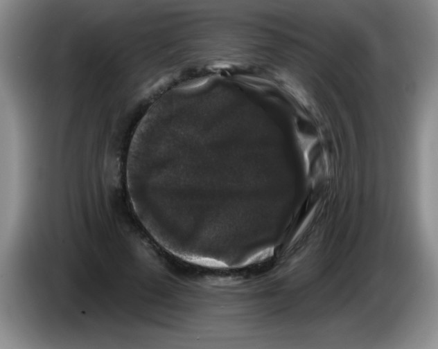 X0000083570689200703091638