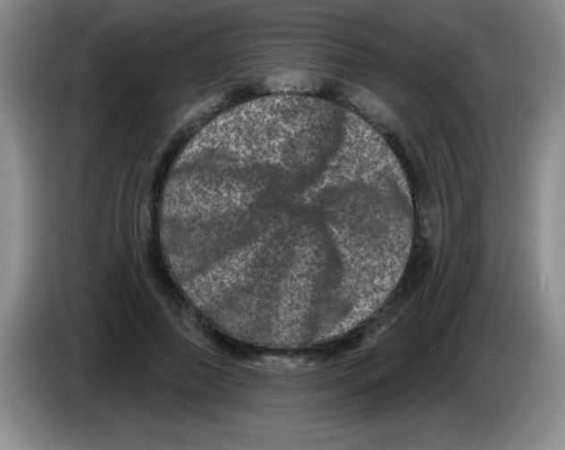X0000083570690200703091638