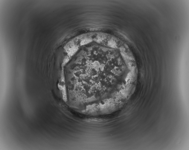 X0000083570691200703091638