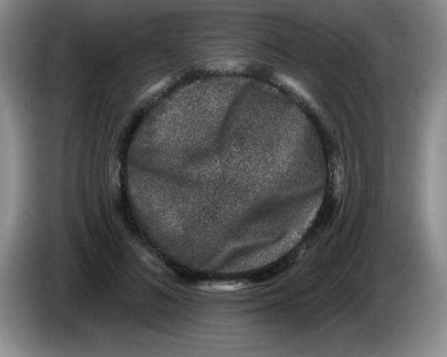 X0000083570692200703091638