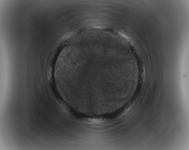 X0000083570693200703091638