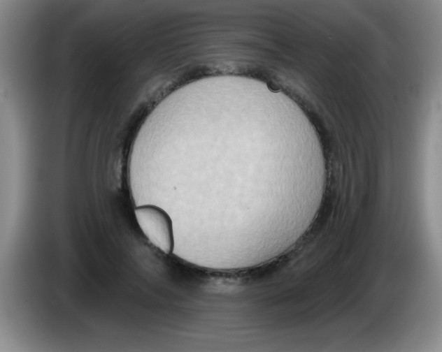 X0000083570694200703091638