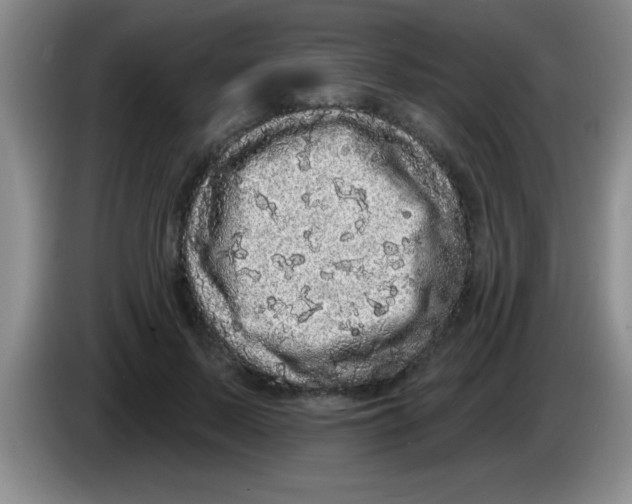 X0000083570695200703091638