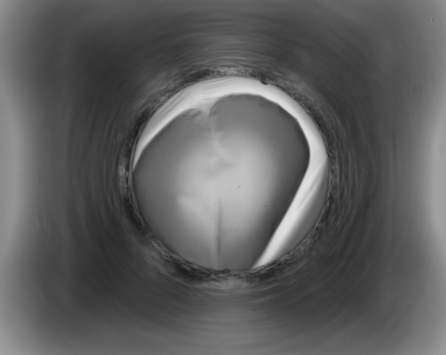 X0000083570696200703091638