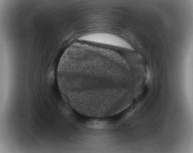 X0000083570697200703091638