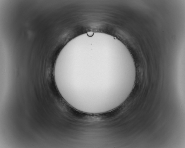 X0000083570698200703091638