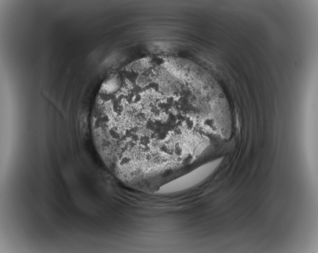 X0000083570699200703091638