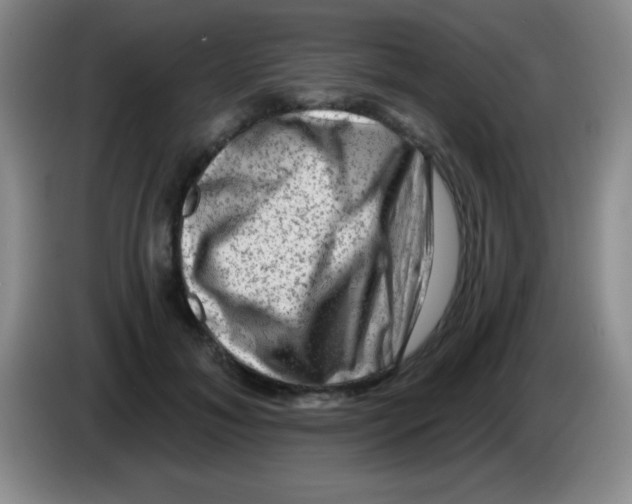 X0000083570700200703091638