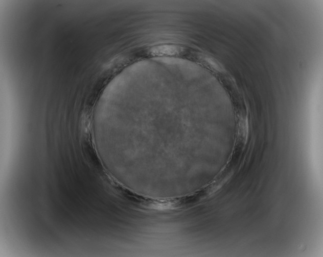 X0000083570701200703091638