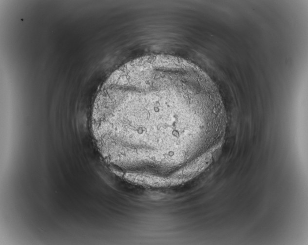 X0000083570703200703091638