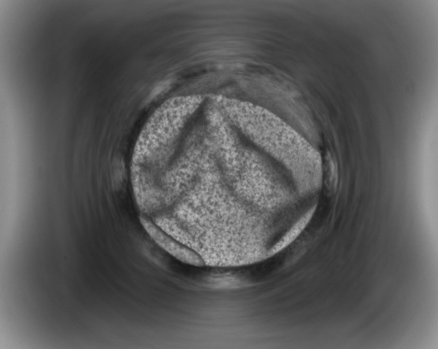 X0000083570704200703091638