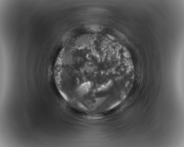 X0000083570707200703091638