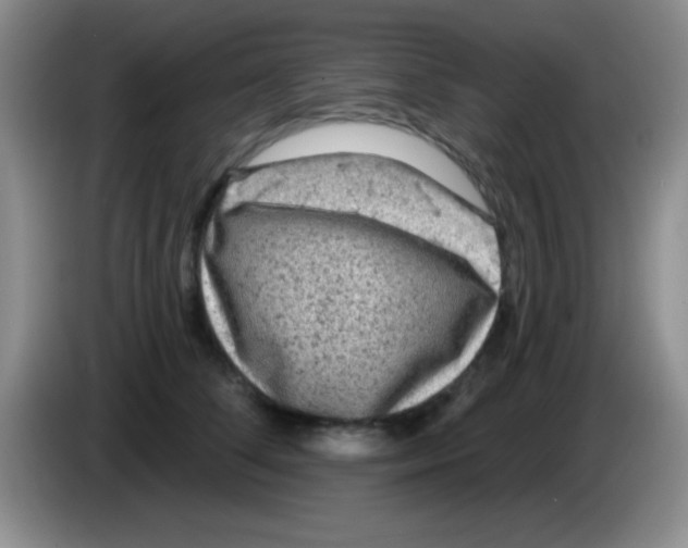 X0000083570708200703091638