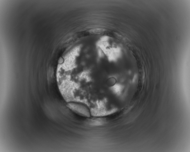 X0000083570711200703091637
