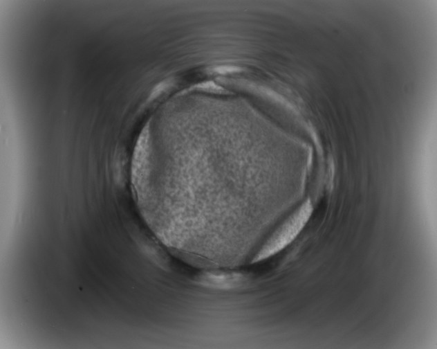 X0000083570712200703091637