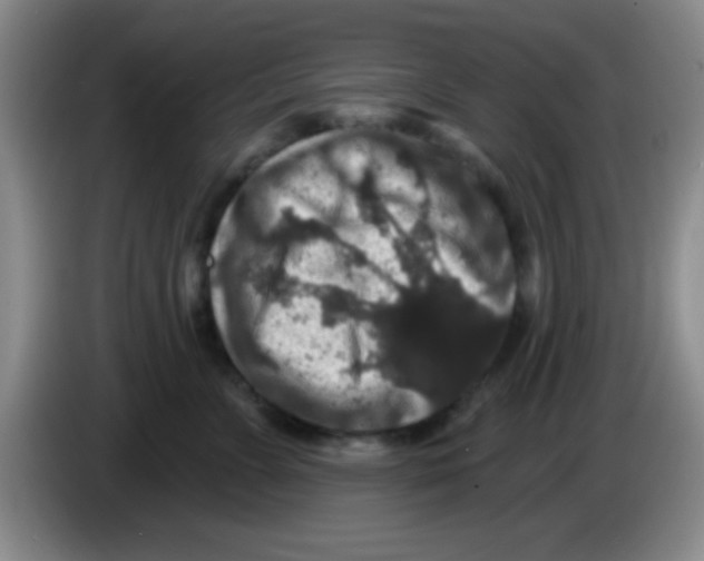 X0000083570715200703091637