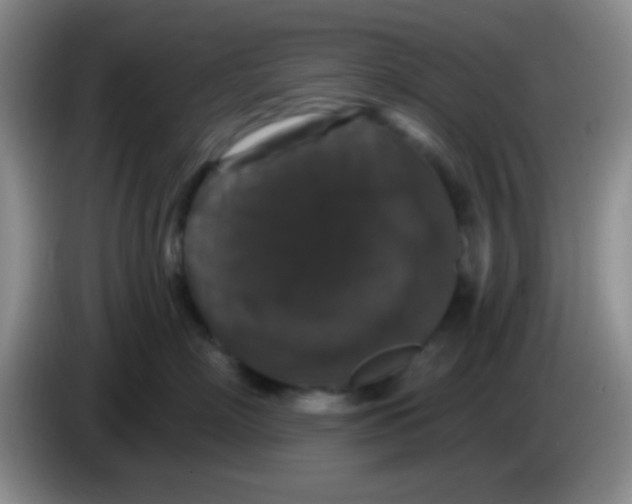 X0000083570718200703091637
