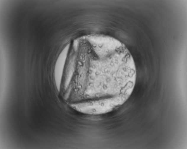 X0000083570719200703091637