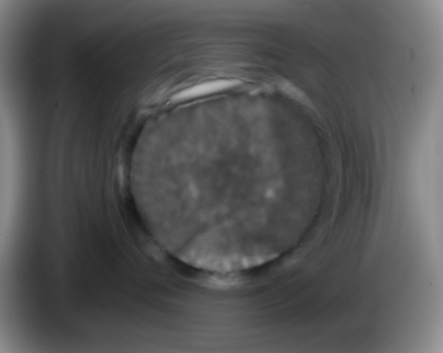 X0000083570720200703091637