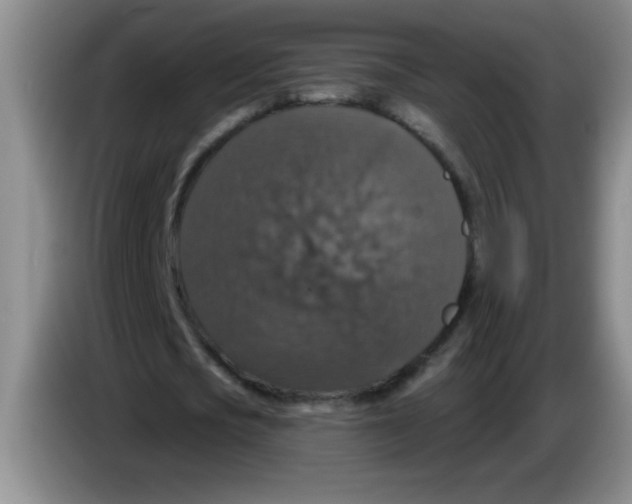 X0000083570721200703091637