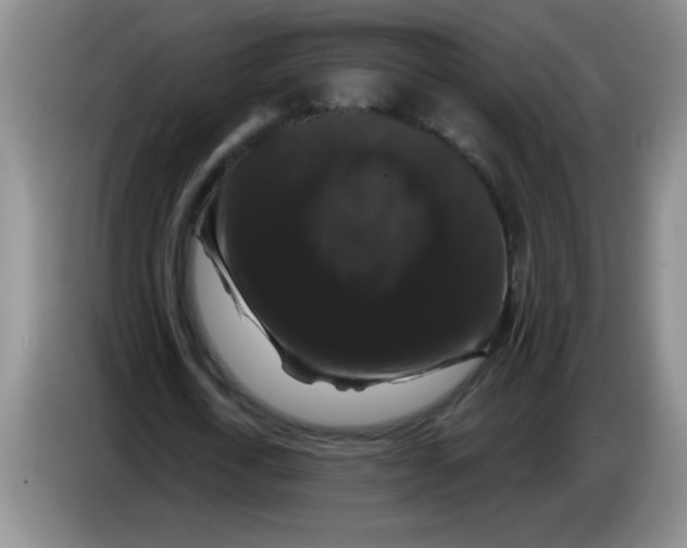 X0000083570722200703091637
