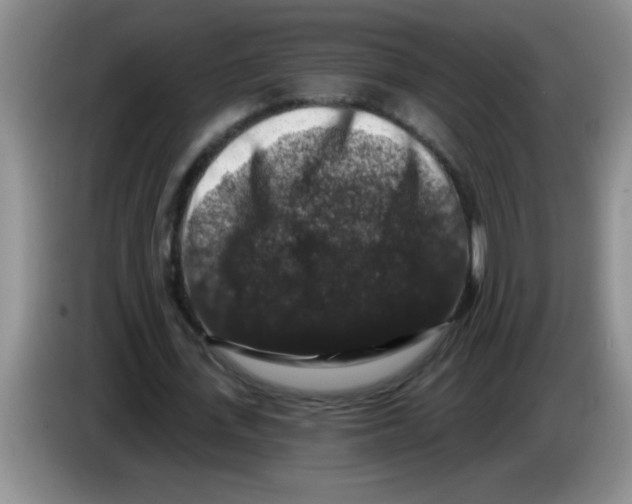 X0000083570723200703091637